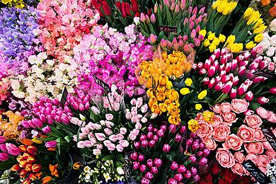 《使命召唤18》Alpha测试现已在PS4和PS5上线